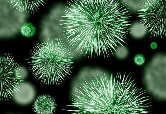 ortam dezenfeksiyonu virüs bakteri